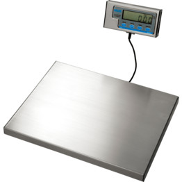 Portable Bench Scale