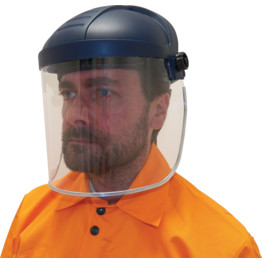 Complete Safety Full Face Screen