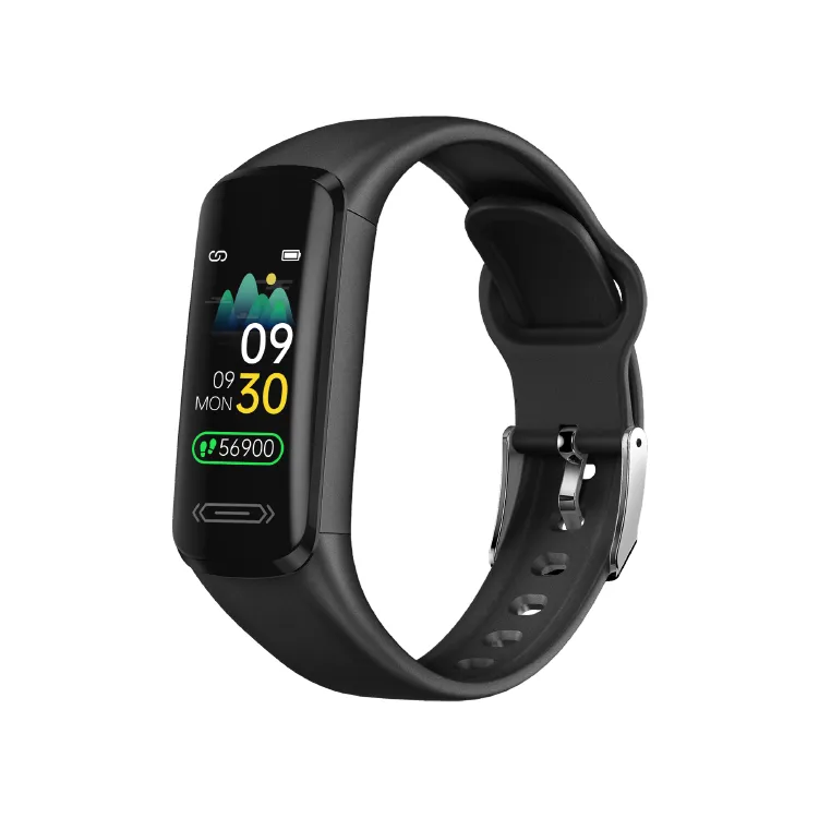 Transtek V101 Fitness Bracelet